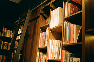 Mint Wrappers: Short book reviews — First-half 2025